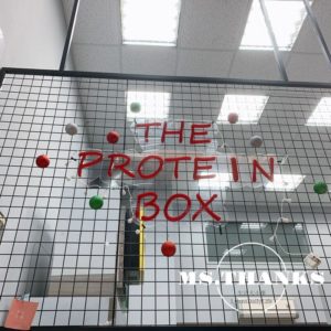 蛋白盒子健康低卡餐盒 桃園龜山店